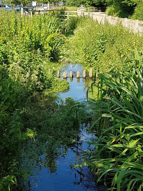 Streamside Apartments Yeovil Exteriér fotografie